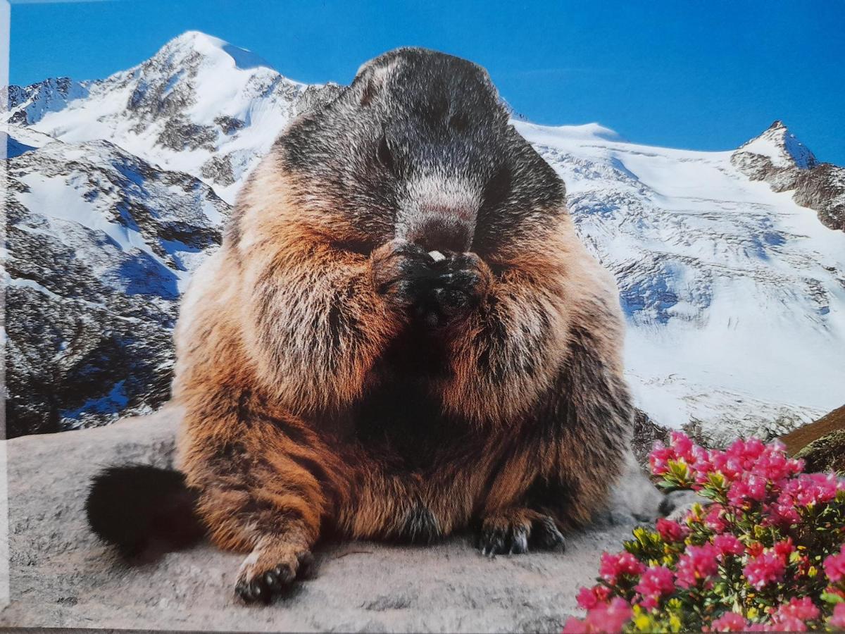 Appartement Hochmuth Ramsau im Zillertal Luaran gambar